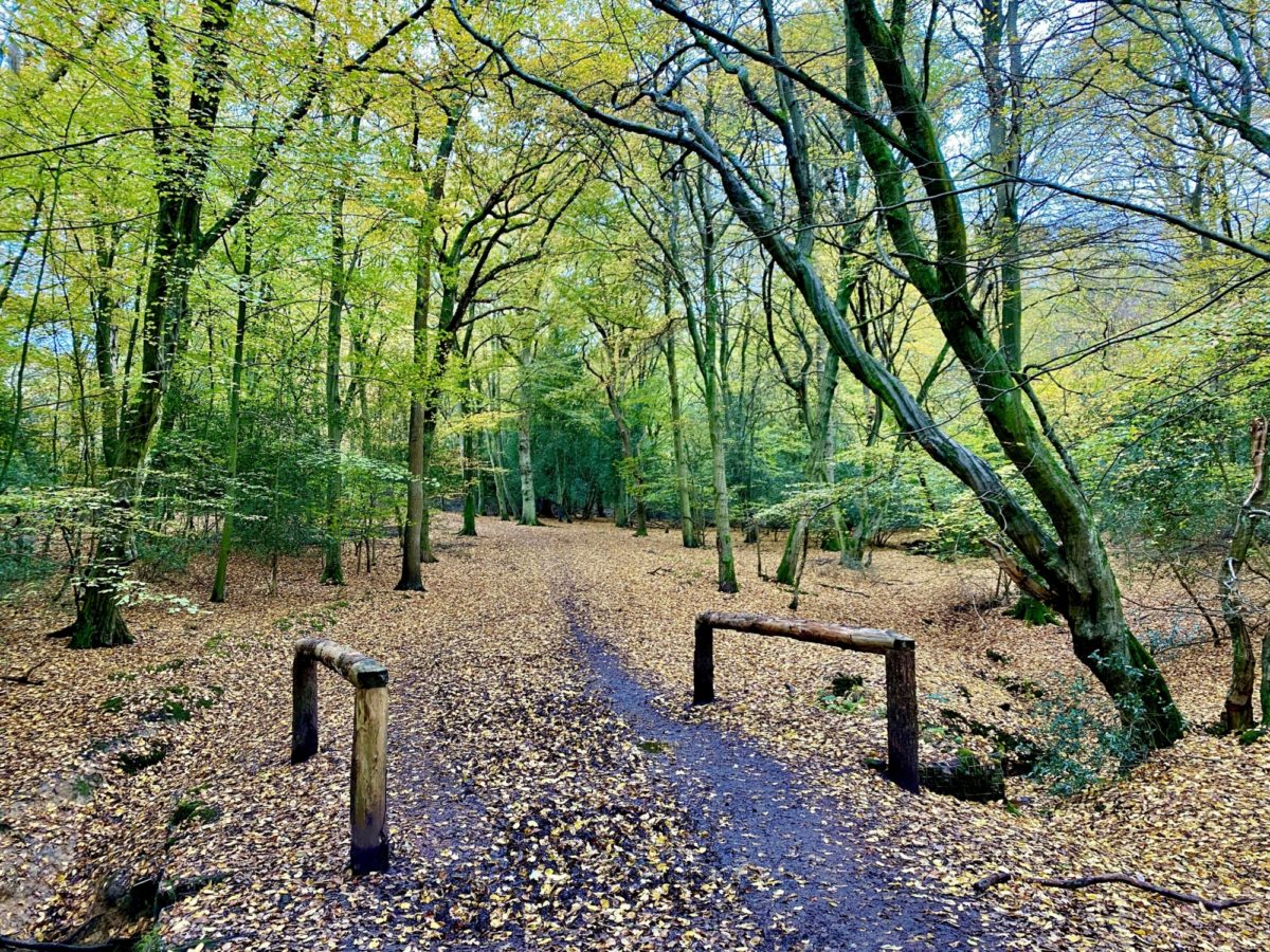 epping forest